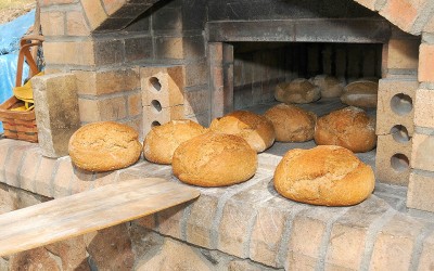 A Cottage Foods, On-the Farm Bakery