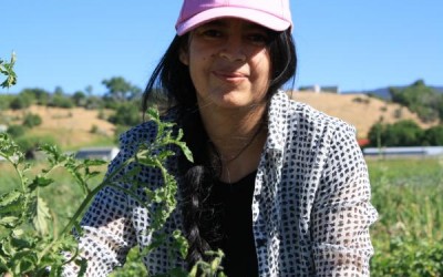 Colorado Farm Program Teaches Immigrants Gardening, Healthy Eating & English