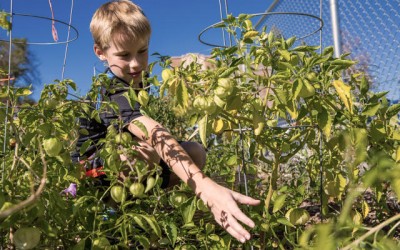 Chipotle Is Now Supporting 100 School Gardens Across The U.S.