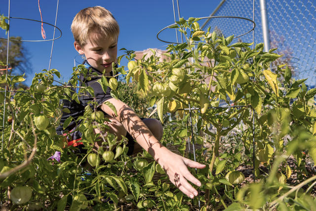 Chipotle Is Now Supporting 100 School Gardens Across The U.S.