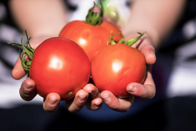 chipotle-school-gardens-2