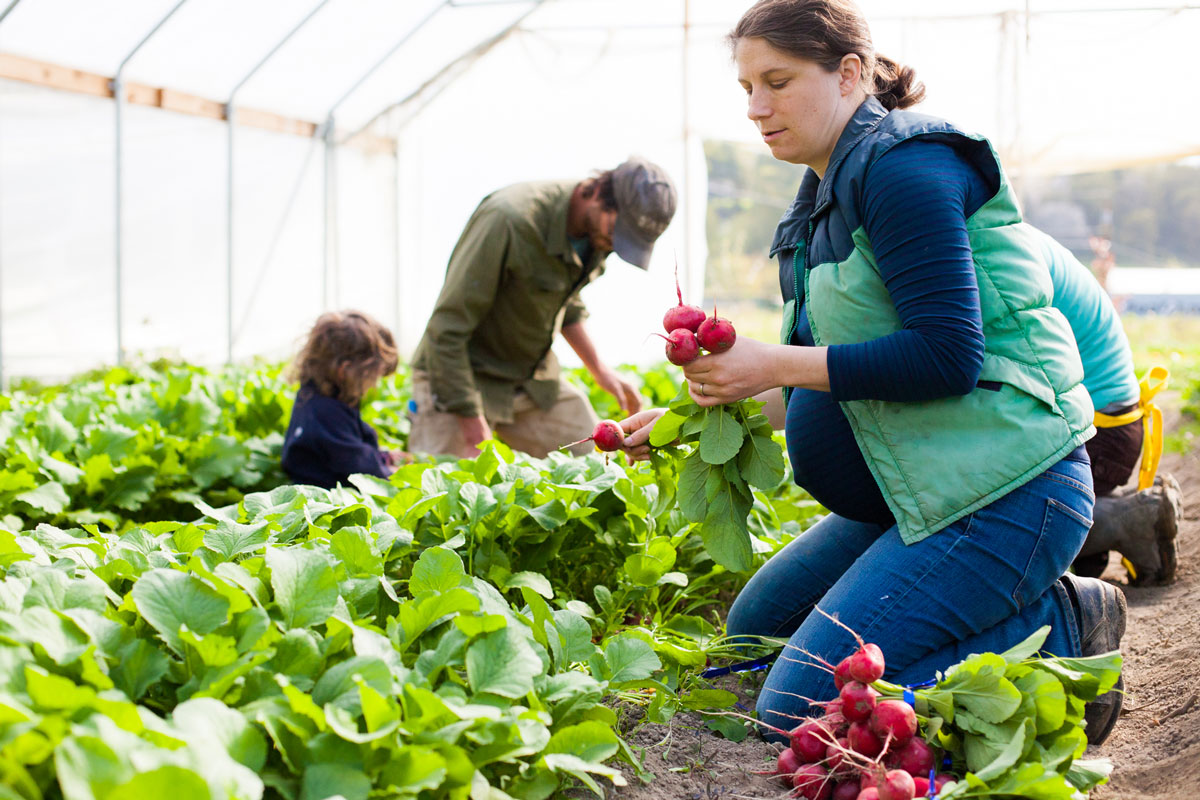 women-farmers-grower