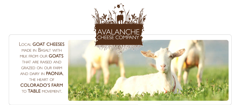 avalanche-logo