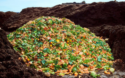 The Compost King of New York