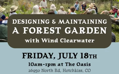 Designing and Maintaining a Forest Garden