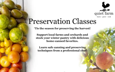 Preservation Classes