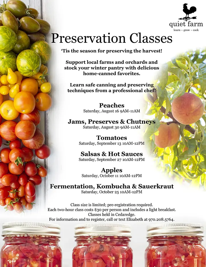 Preservation Classes poster