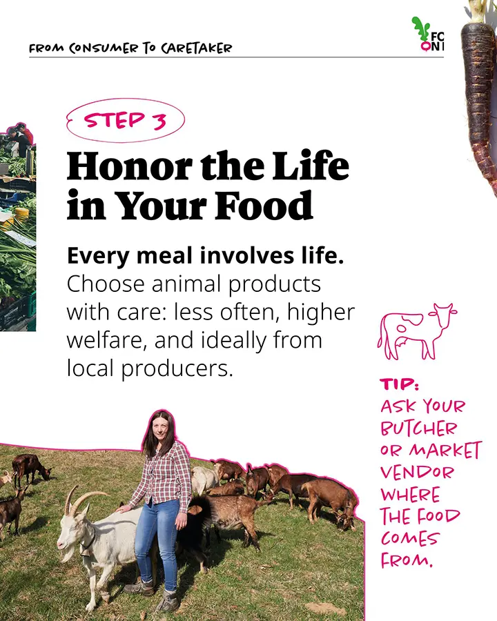 Caretaker Of Our Food System Step 3